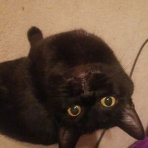 Meet your Posher, Sammi